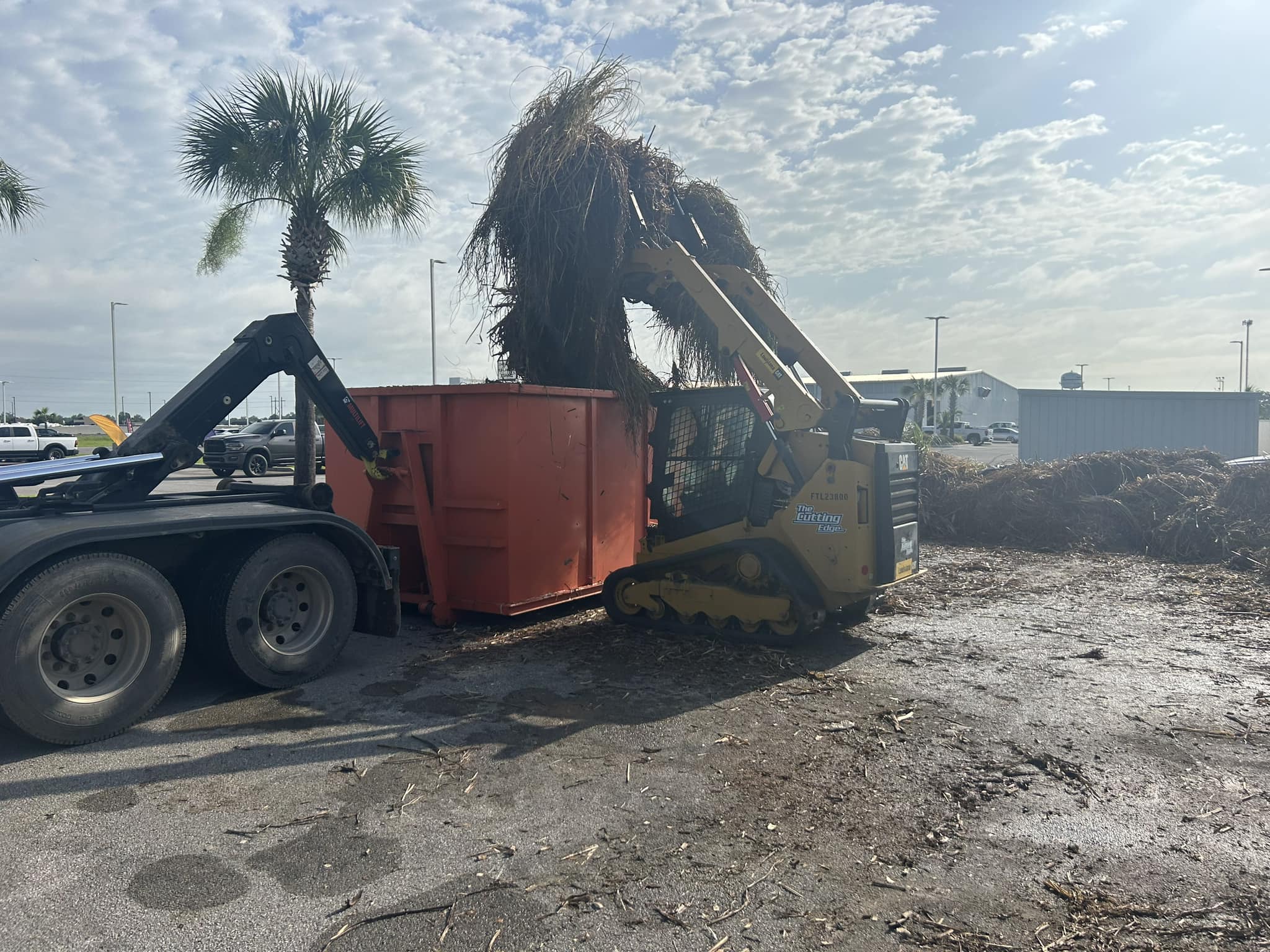 la waste solutions - yard waste dumpster rental